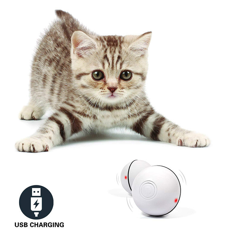 Interactive Laser Cat Toy