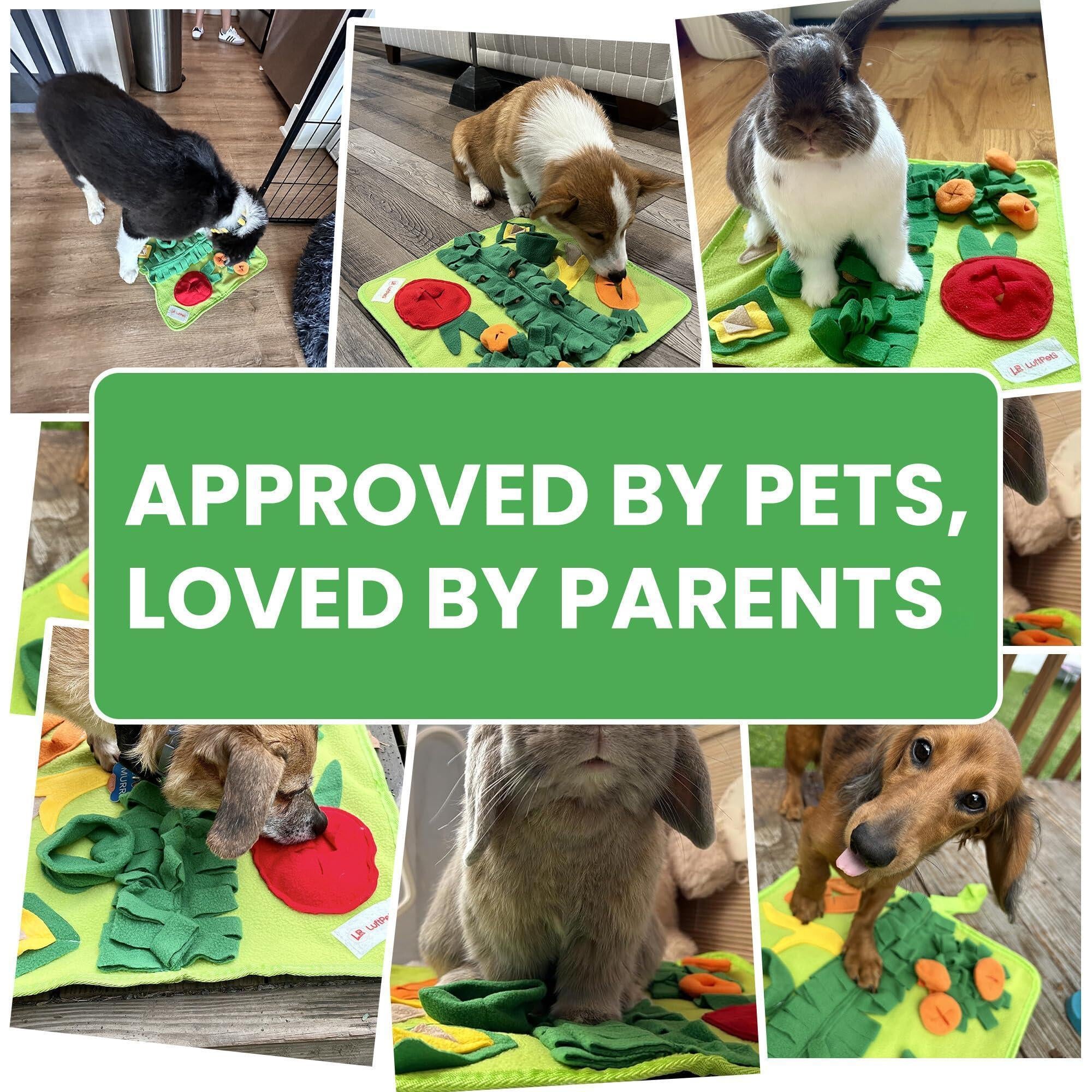 Snuffle Mat for Small Dogs Cats 19X19 Inch Soft Foraging Mat for Rabbits Washable anti Slip Perfect for Bunnies Guinea Pigs & Hamsters Sniff Puzzle Toy for Puppies (Medium)